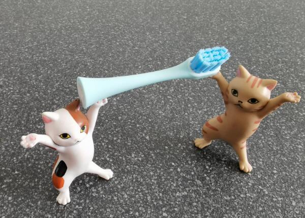 兒童電動(dòng)牙刷頭如何選擇？?jī)和妱?dòng)牙刷頭選購(gòu)要點(diǎn)